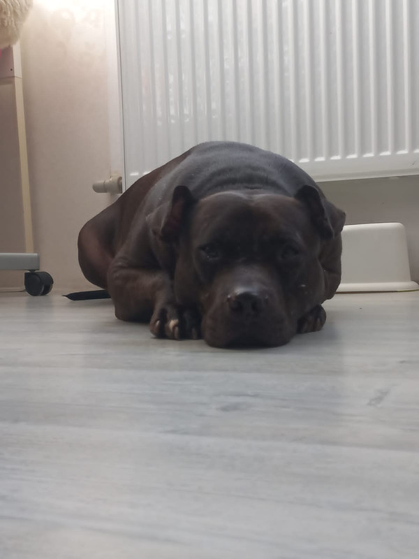 B57421C5-484E-4CC0-9950-E17B32B9A23C