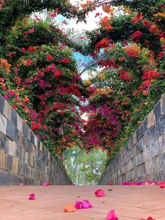 floralhearts.jpg