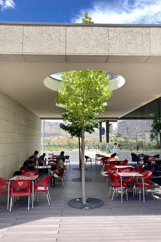 36E66136-EC25-4762-8CC2-D2CC64EEE857