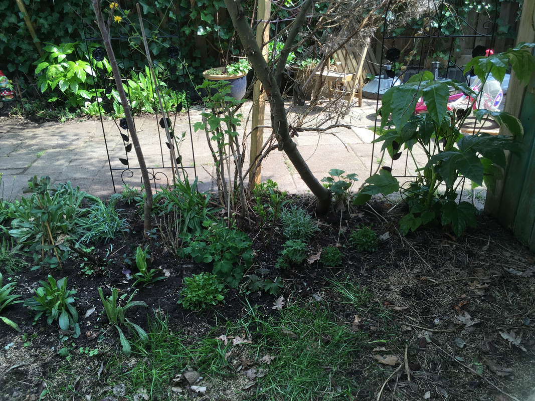 909359E9-2048-4D1F-B9E4-A4326C3279A6