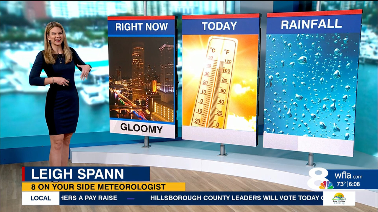 NewsChannel 8 Today at 6a_20231115_11001200.ts_snapshot_08.28.180