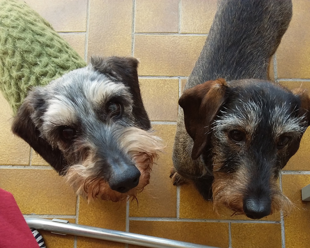 [Image: 20240427-145658.jpg]