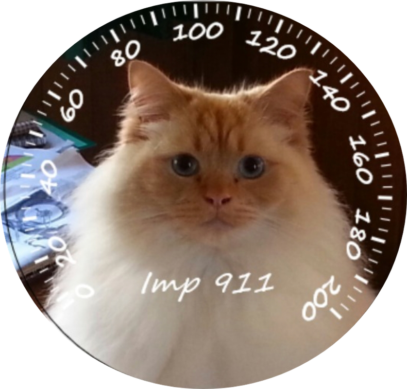 SmartSelect_20250626-132951_Gallery