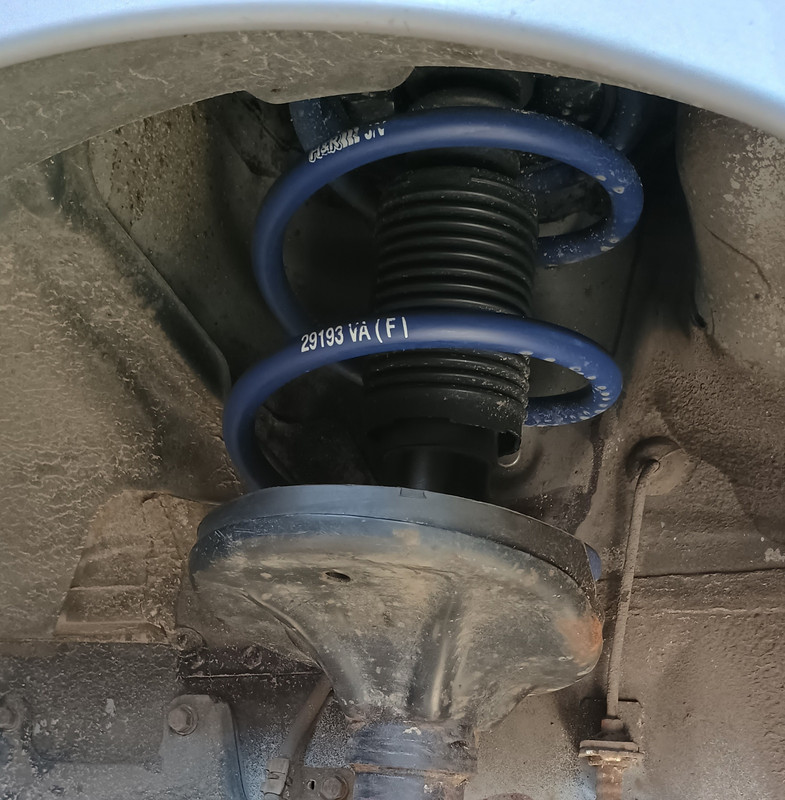 IMG_20250403_144206455_HDR (1)