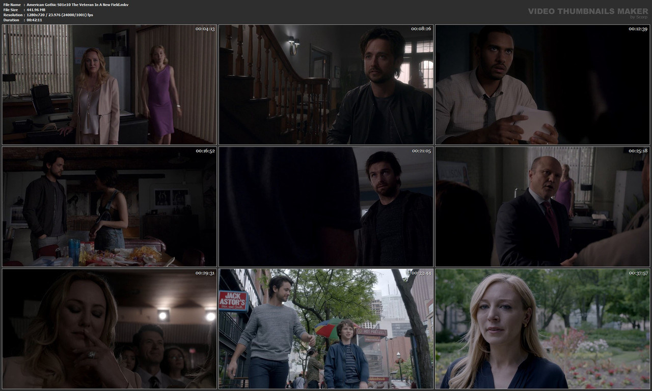 American Gothic S01e10 The Veteran In A New Field.mkv