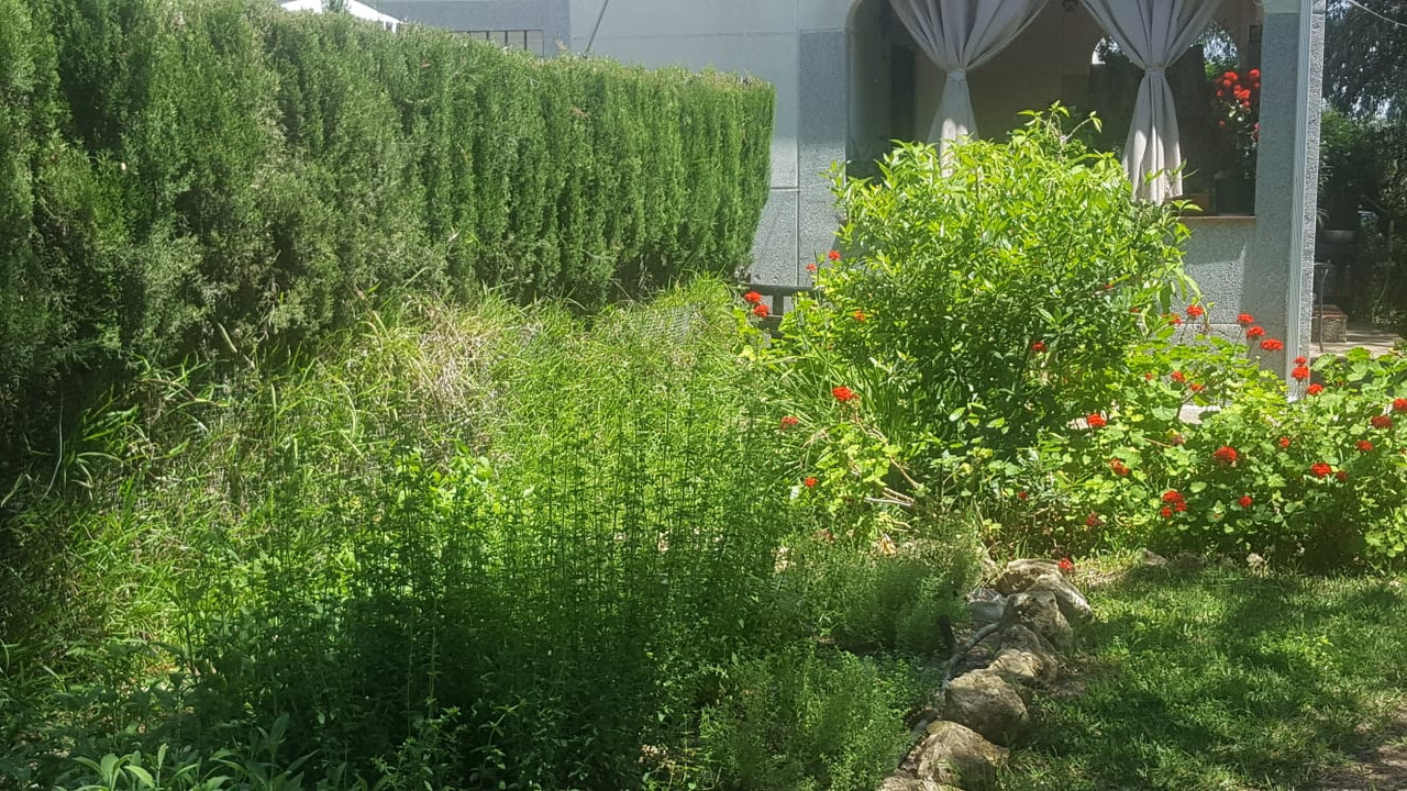 c84e983f-2b99-415f-8060-dd5f81116eb9 (1)