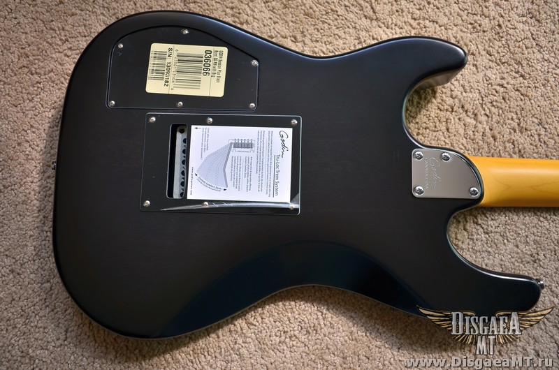 Godin_Session_Plus_exch_021