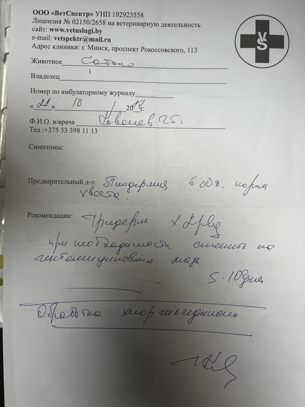 2BB40836-536C-4CC9-BB77-D04EA4F3799F