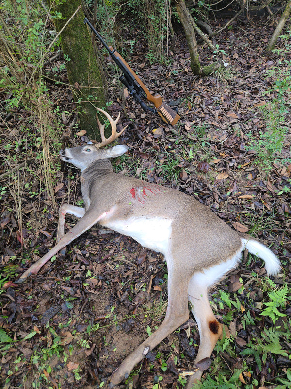 73386a73 8807 457b 8cd6 02de10d8a7c3