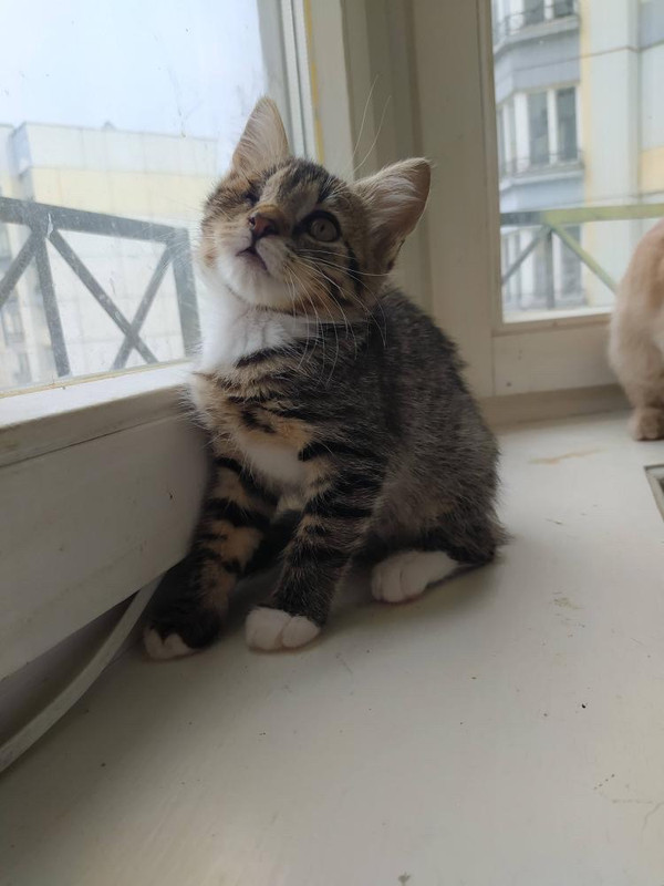 8897CF12-40D2-4C5D-8B9A-A5F1423ED61B