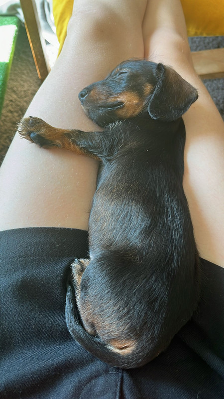 [Image: 660cab3f-18ce-4449-b294-73b80a0cc254.jpg]