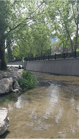 20210512-140430.gif