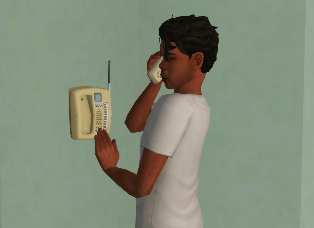 Sims2-EP9-RPC-2024-11-03-13-04-44-43