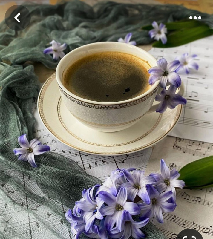 Screenshot_20240329_132354_Pinterest