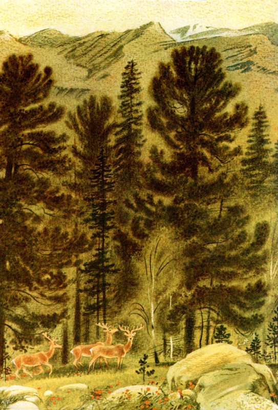 Goryshin-Gleb-Na-altajskoj-trope-222354-05