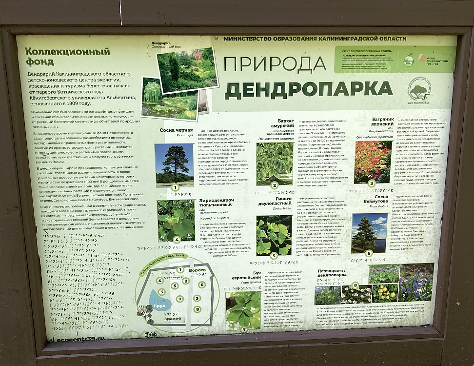 https://i.postimg.cc/8CqrJt3f/22.jpg