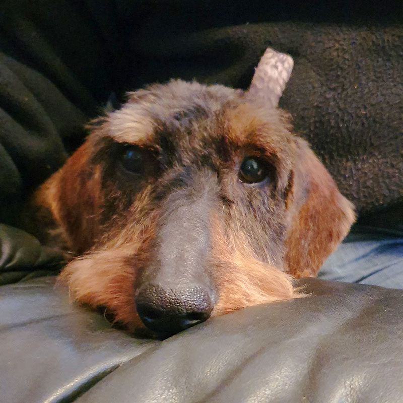 [Image: 20220318-201701.jpg]