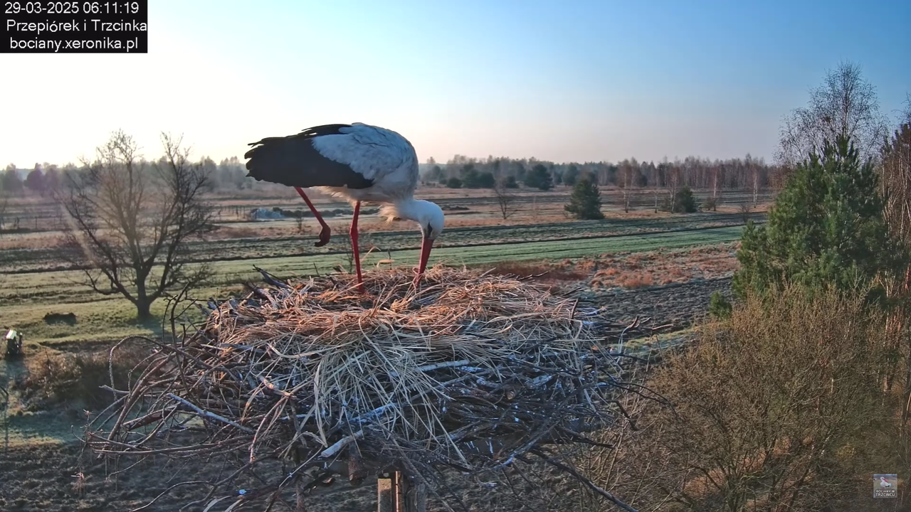 29032025porannezamieszanie_9