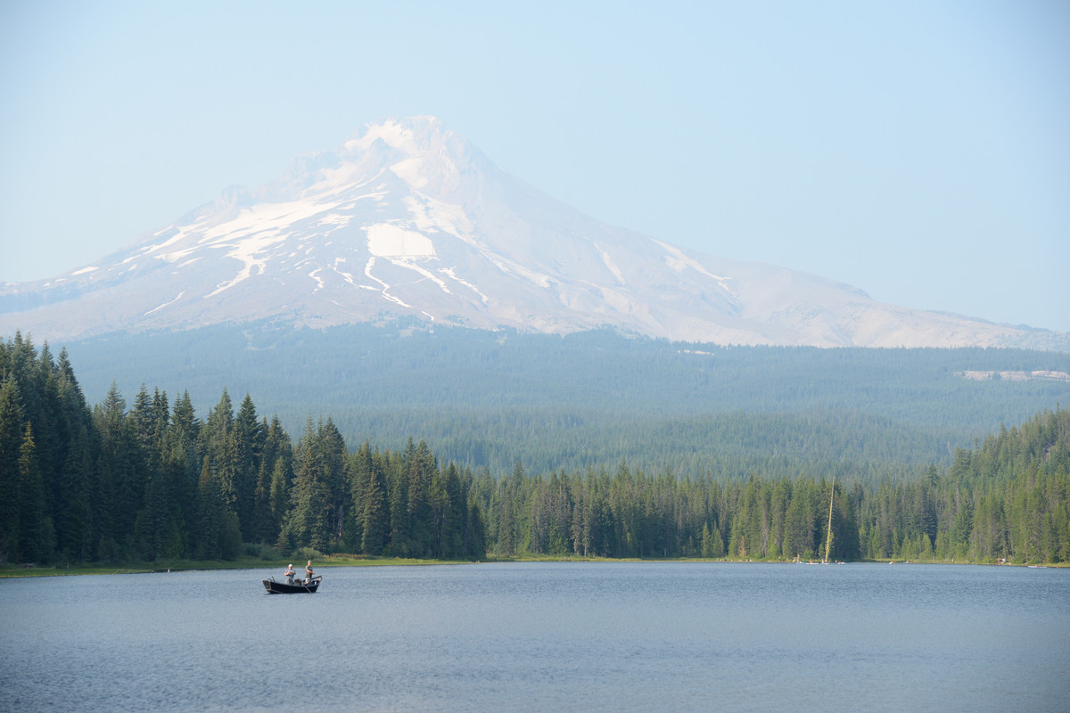 Árboles gigantes, fuegos y volcanes extintos - Oregon y California norte (2018) - Blogs de USA - Centro, Columbia River Gorge y Mount Hood (25)