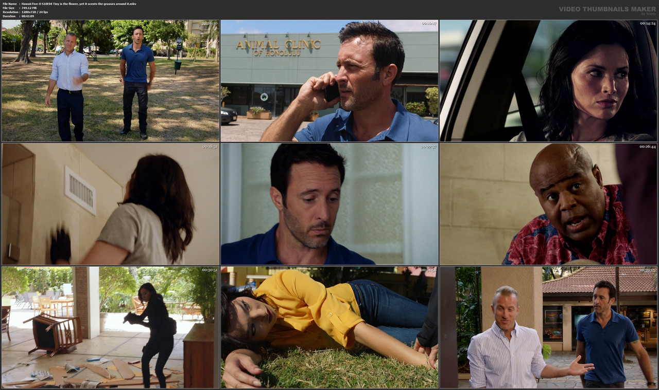Hawaii Five-0 S10E04 Tiny is the flower, yet it scents the grasses around it.mkv