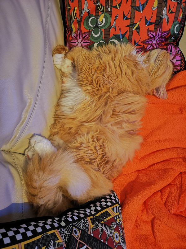 IMG-20201101-190954.jpg