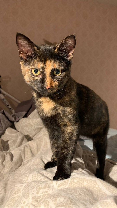 6610FBE7-7269-4829-A60D-8B7E7A11421F