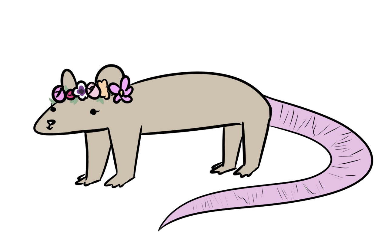 ratina.png