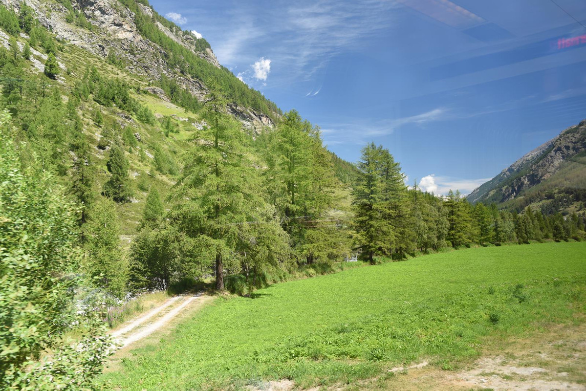 Huyendo del COVID a los Alpes (2020) - Blogs of Switzerland - De Grindelwald a Eischoll (Zona de Valais) (26)