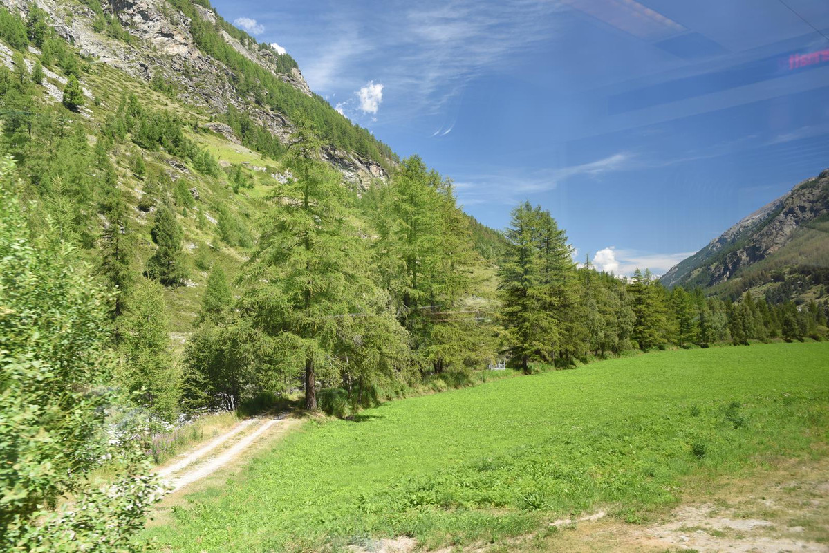 De Grindelwald a Eischoll (Zona de Valais) - Huyendo del COVID a los Alpes (2020) (26)