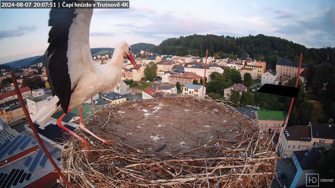 Tiešraidē no stārķa ligzdas uz alus darītavas skursteņa Trutnovā 16-33-20 screenshot