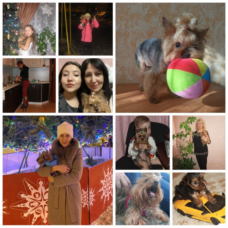 Беги по радуге,малышка...