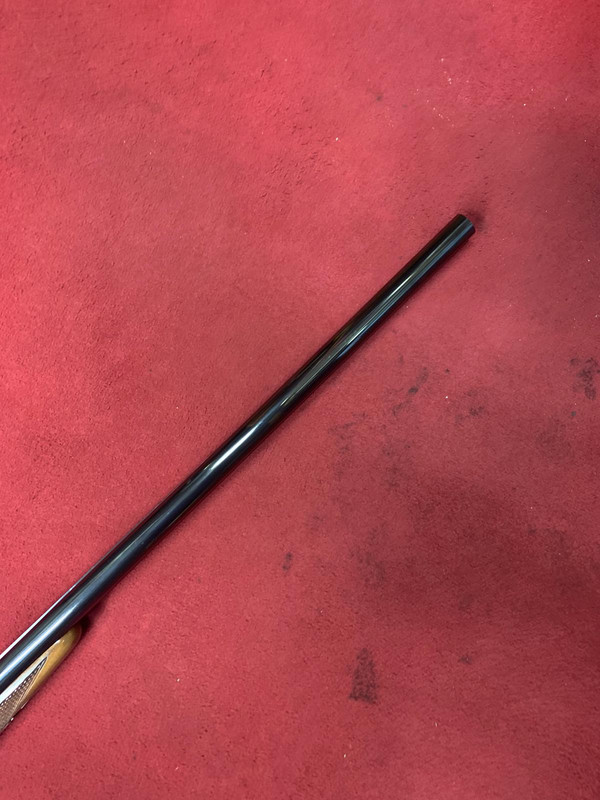 80E2F559-D83C-4C17-949E-59B963FDB14A