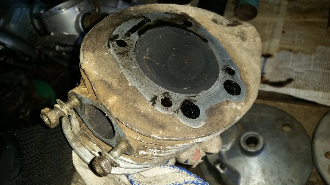 20181024_104531 — копия