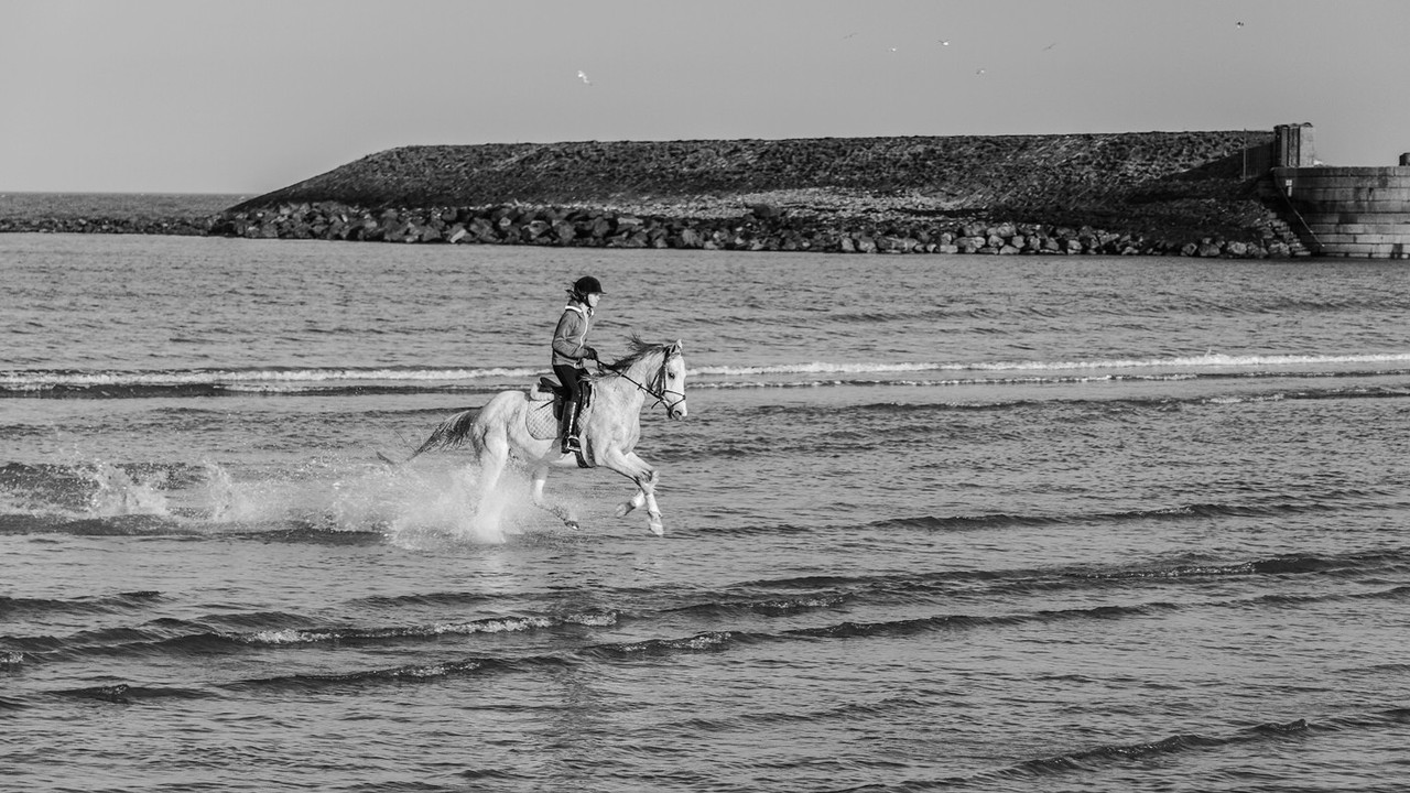 blacknwhite-horse-rider.jpg