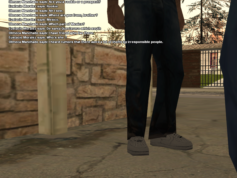 SSRoleplay651.png