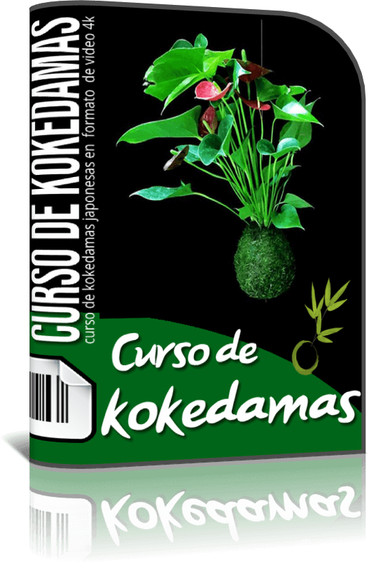 Curso Kokedamas