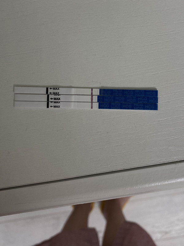 5A58E783-EB04-486F-B447-4B68455E32AF