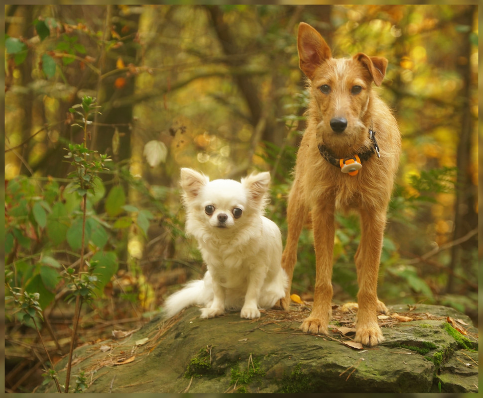 Lumii_20251019_174902687