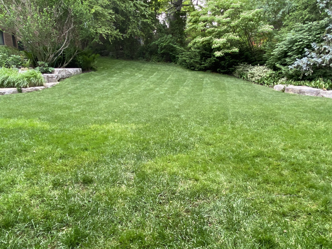 64EB316B-F586-4FA8-9CC3-D8D4C230616F