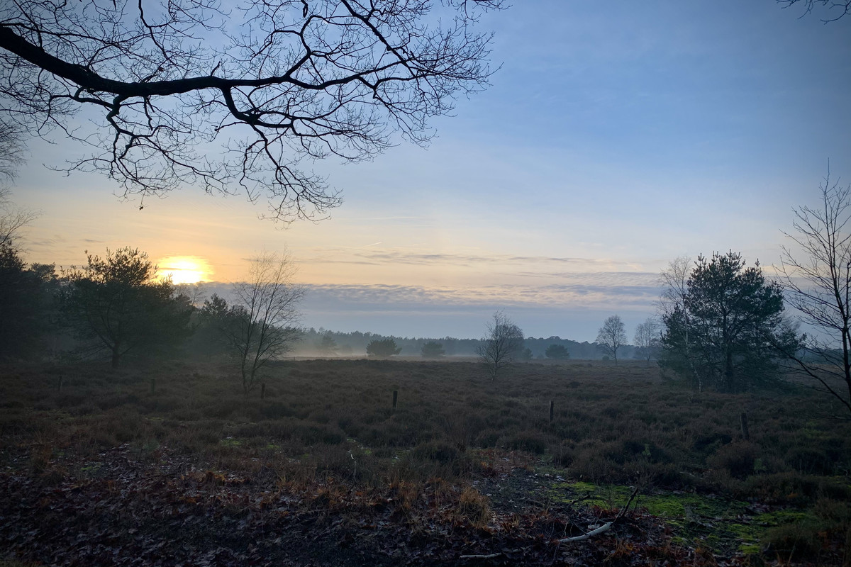 E790292A-5EE3-4578-897D-055387B4143F