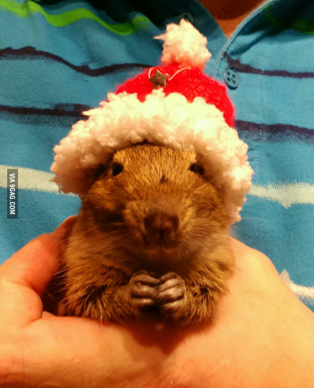 213A219A-361D-4BF6-BEEA-3EEABCCCAC1D