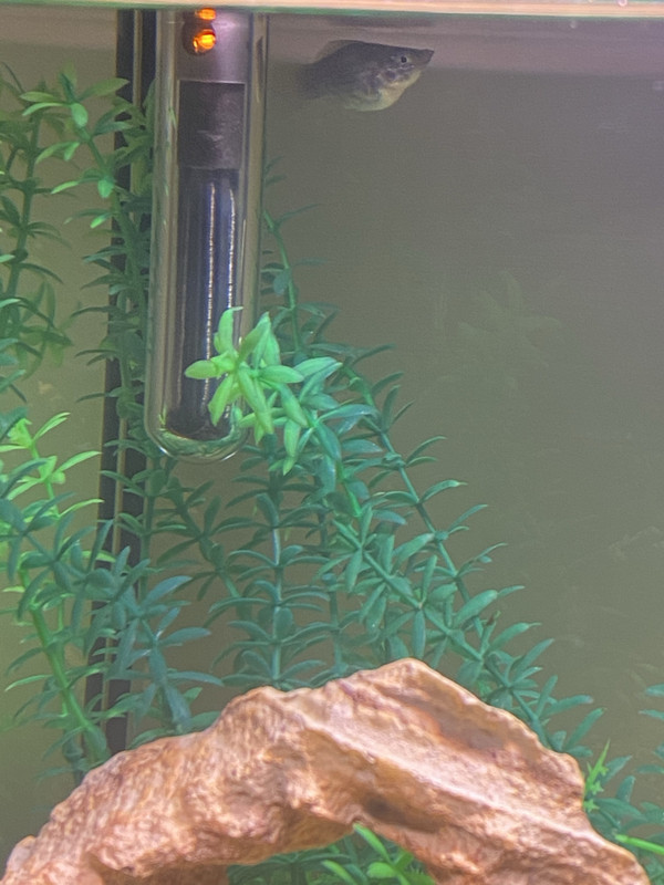 3DAABC17-9332-4871-9CA5-E81C56A6AE85