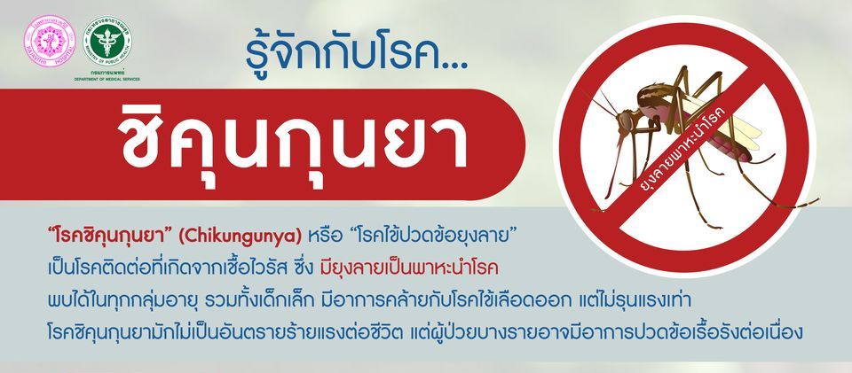 ?โรคชิคุนกุนยา? อีกหนึ่งภัยร้ายที่มาจากยุงลาย