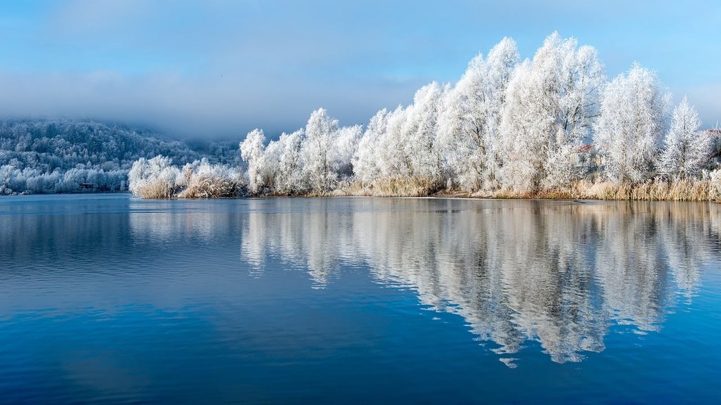 white-winter-8437400-1280.jpg