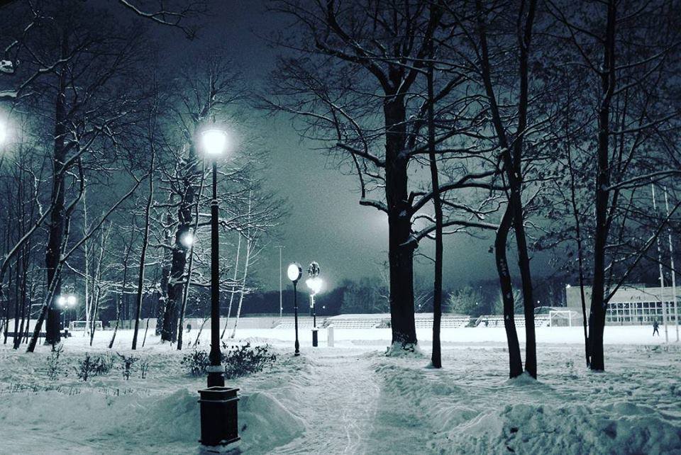 15337542_1356077341103627_4179673541607678747_n