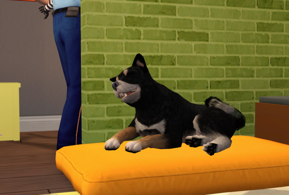 Sims2-EP9-RPC-2021-08-27-19-54-01-30