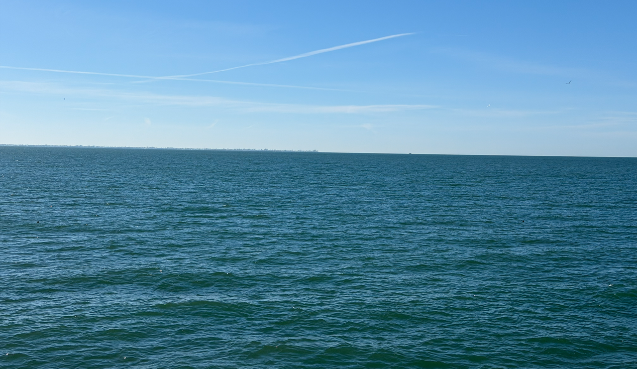 [Image: Skyway-Bridge0.png]