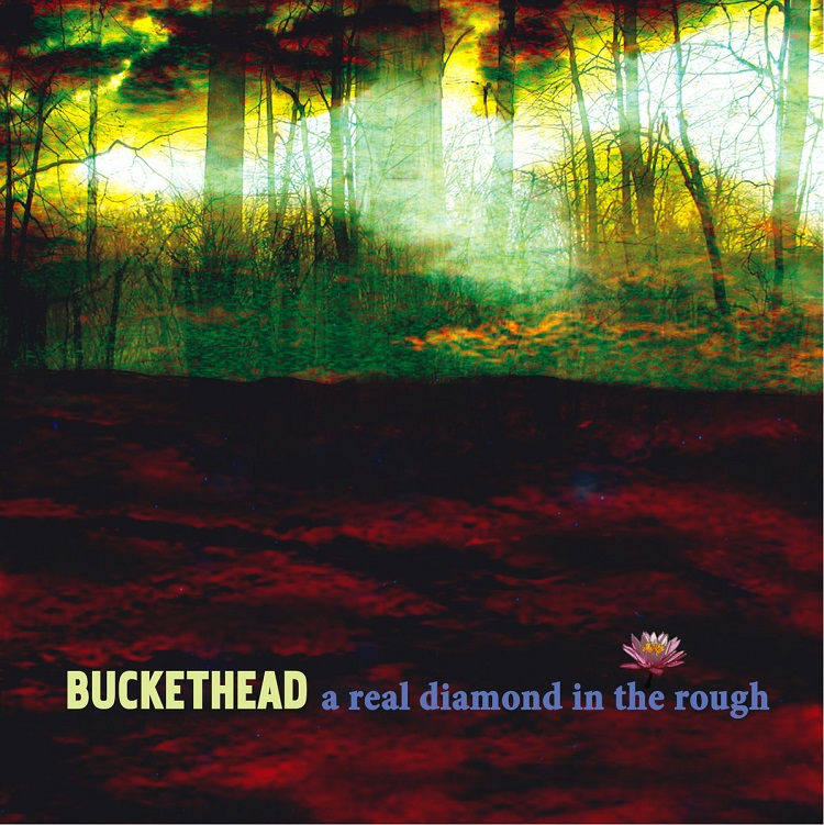 buckethead-a-real-diamond-in-the-rough-9