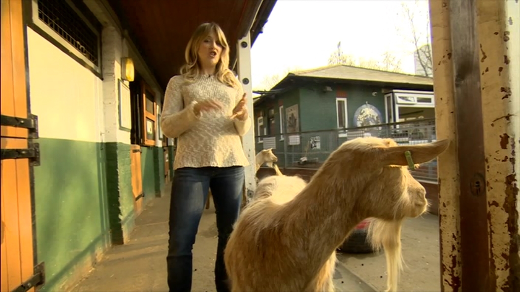 BBC London News_20220324_18301900.ts_snapshot_25.19.875