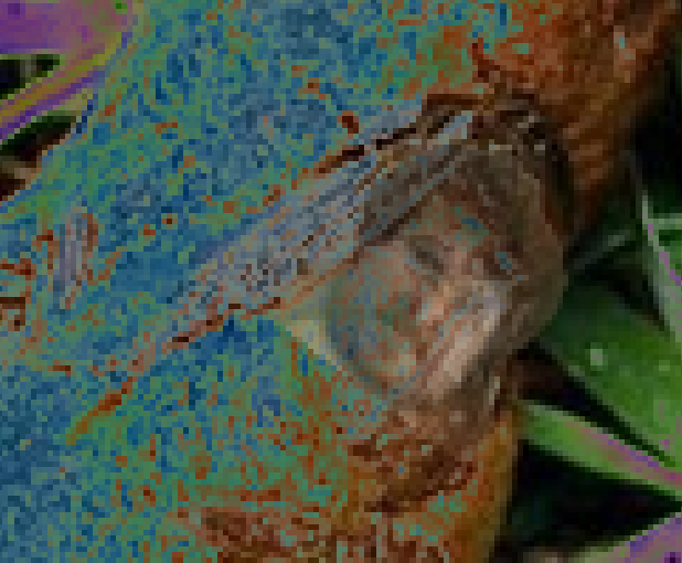 image-2024-03-21-213936322.png